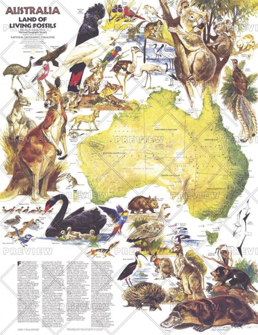 Australia, Land of Living Fossils  -  Published 1979 by National Geographic