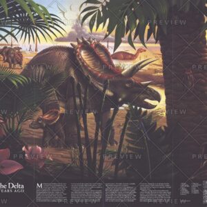 Dawn on the Delta - Published 1993 by National Geographic