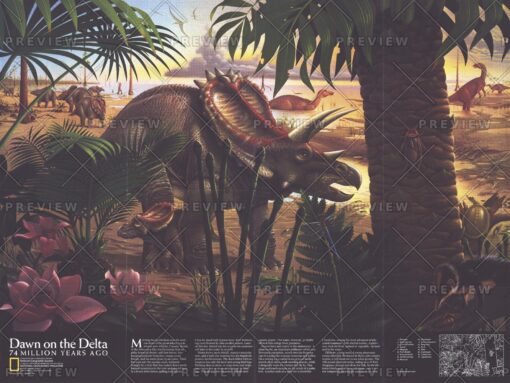 Dawn on the Delta - Published 1993 by National Geographic