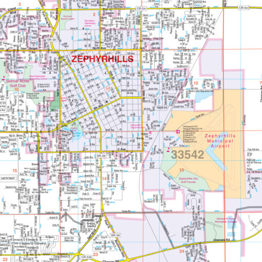 Eastern Pasco County, FL Wall Map by Kappa - Image 2