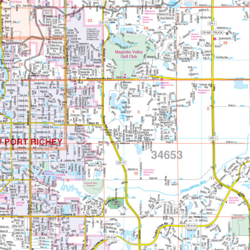 Western Pasco County, FL Wall Map by Kappa - Image 2