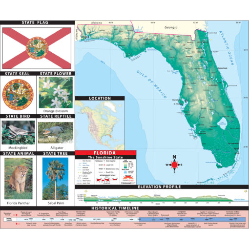 Florida Primary Thematic Wall Map by Kappa