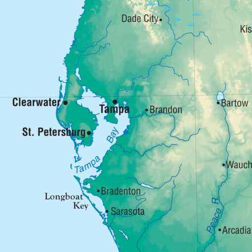 Florida Primary Thematic Wall Map by Kappa - Image 2