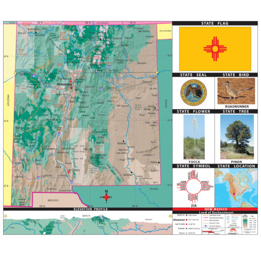New Mexico Primary Thematic State Wall Map by Kappa