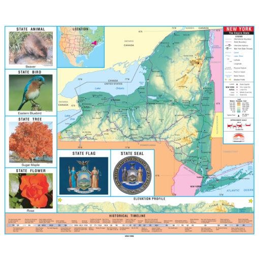 New York Primary Thematic State Wall Map by Kappa
