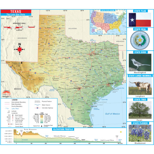 Texas Primary Thematic State Wall Map by Kappa