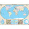 World Robinson Projection Wall Map Mural by Kappa
